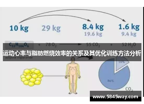 运动心率与脂肪燃烧效率的关系及其优化训练方法分析