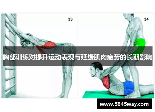 胸部训练对提升运动表现与延缓肌肉疲劳的长期影响